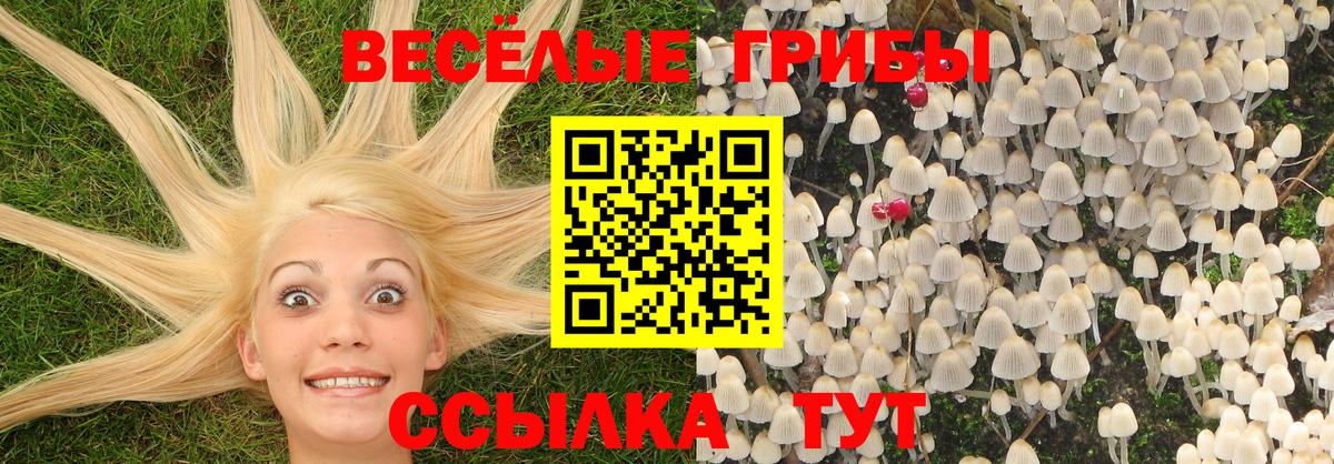 Псилоцибиновые грибы Psilocybe  Псилоцибиновые грибы Psilocybine cubensis  Вход с VPN  Магнитогорск 