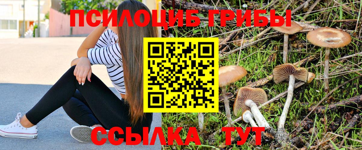 Галлюциногенные грибы Psilocybe Магнитогорск